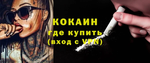 шишки Фурманов