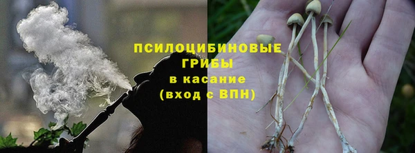 шишки Фурманов