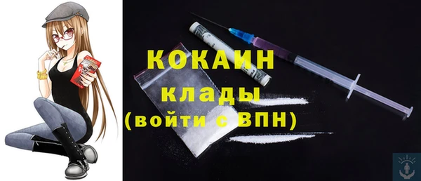 шишки Фурманов