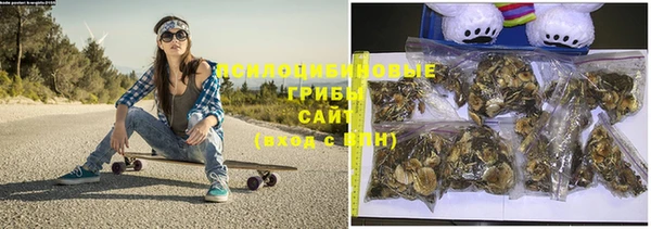 шишки Фурманов