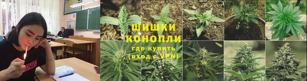 шишки Фурманов